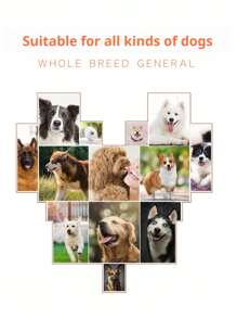 Freeze-Dried Chicken Cat & Dog Treats – Mixed Pet Snacks (100g–600g)