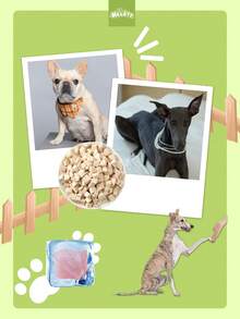 Freeze-Dried Chicken Cat & Dog Treats – Mixed Pet Snacks (100g–600g)