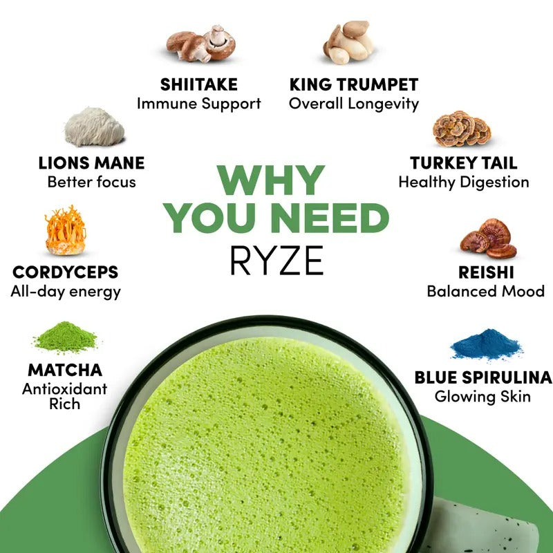 RYZE Organic Mushroom Matcha Blend