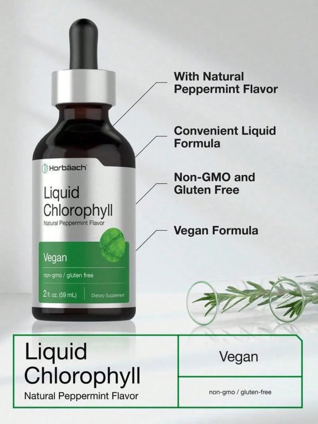 Horbäach Liquid Chlorophyll Drops| 2 Oz| Vegan, Non-GMO, And Gluten Free Formula| Natural Peppermint Flavor