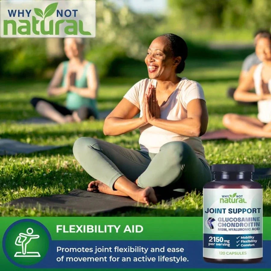 Glucosamine Chondroitin Joint Support 2 Pack, Mobility & Flexibility Capsules With MSM & Hyaluronic Acid, 240 Count Total