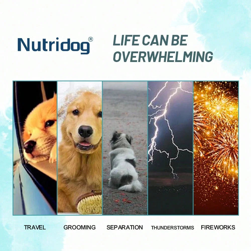 Dog Calming Powder Supplement With Valerian Root & Chamomile For Dog Anxiety Relief,Separation Anxiety,Fireworks Noise & Travel Stress,Beef Flavor